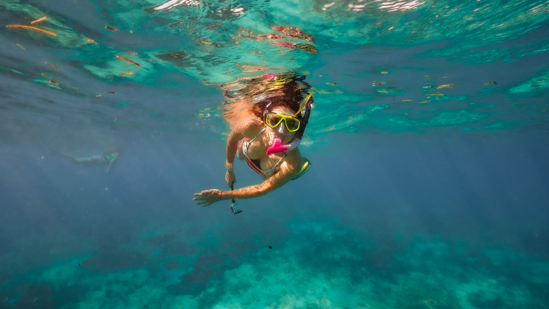Contoy Island Tour
