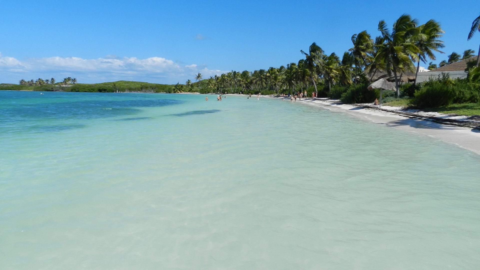 Contoy Island Tour