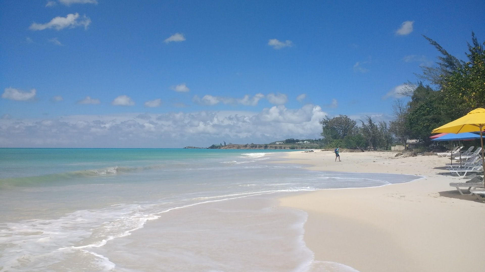 Contoy Island Tour
