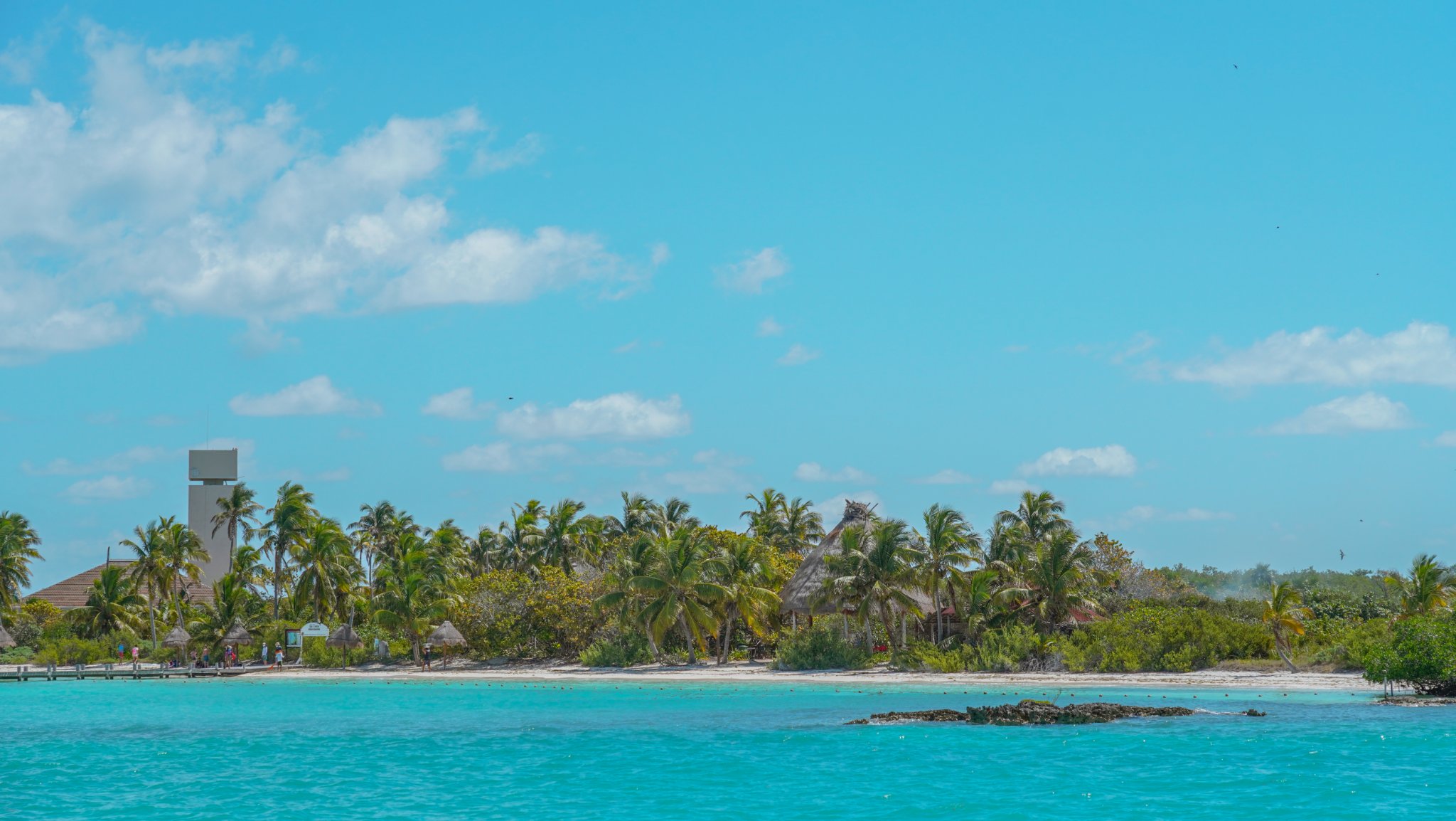 Contoy Island Tour